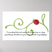 Ladybug Poster (Devant)