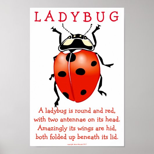 Ladybug Poster (Voorkant)