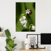 Ladybug Poster (Thuiskantoor)