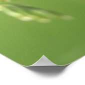 Ladybug Poster (Hoek)