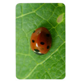 Ladybug Premium Magnet (Vertical)
