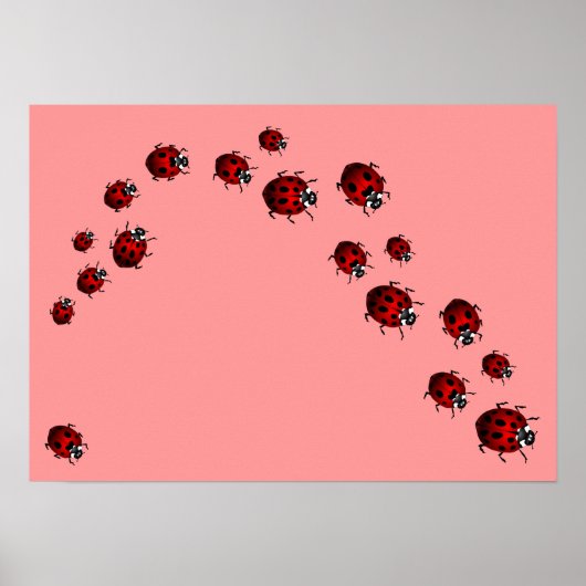 Ladybug Print Ladybird Art Grote Kleine Poster (Voorkant)