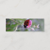 Ladybug-profielkaart Mini Visitekaartje (Achterkant)
