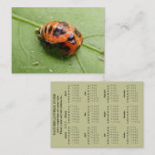 Ladybug Pupa agenda ~ Chubby Visitekaartje (Voorkant / Achterkant)