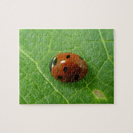 Ladybug Puzzle Legpuzzel (Horizontaal)