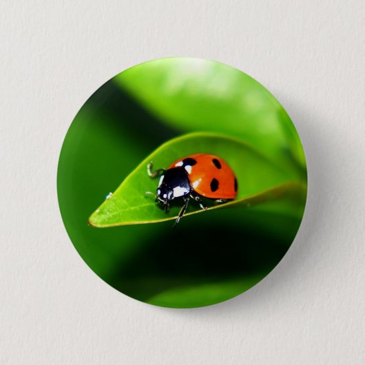 Ladybug Ronde Button 5,7 Cm (Voorkant)