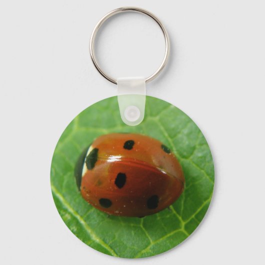 Ladybug-Sleutelhanger Sleutelhanger (Voorkant)