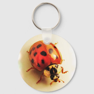 Ladybug-Sleutelhanger Sleutelhanger