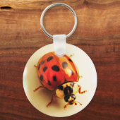 Ladybug-Sleutelhanger Sleutelhanger (Voorkant)