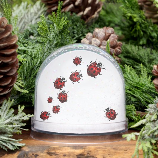 Ladybug Snow Globe Personalized Ladybug Snow Globe Sneeuwbol (Winter)