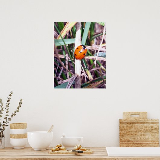 Ladybug Spotlight-Poster Poster (Keuken)