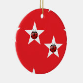 Ladybug sterren keramisch ornament (Rechts)
