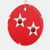 Ladybug sterren keramisch ornament (Links)