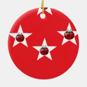 Ladybug sterren keramisch ornament (Achterkant)
