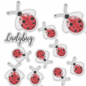 Ladybug Sticker (Voorkant)