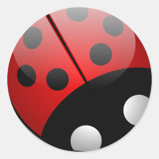 Ladybug-Stickers Ronde Sticker