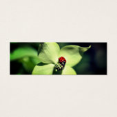 Ladybug Sur Dogwood Flower Nature Mini Signet (Devant)