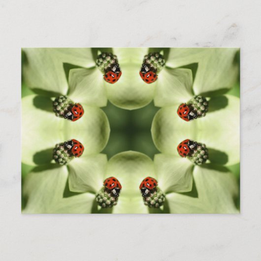 Ladybug Sur Flower Kaleidoscope Art Carte Postale (Devant)