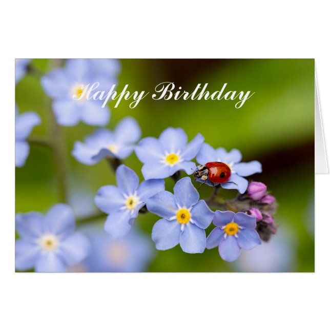 Ladybug sur la carte d'anniversaire For-get-me-not (Devant horizontal)