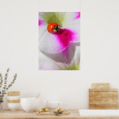 Ladybug sur la pétunia Poster (Cuisine)