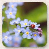 Ladybug sur le Dessous de verre Forget-me-not (Devant)