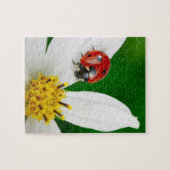 Ladybug sur le puzzle des fleurs (Horizontal)