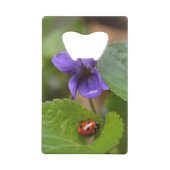 Ladybug sur les fleurs de violet doux (Devant)