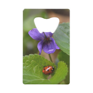 Ladybug sur les fleurs de violet doux