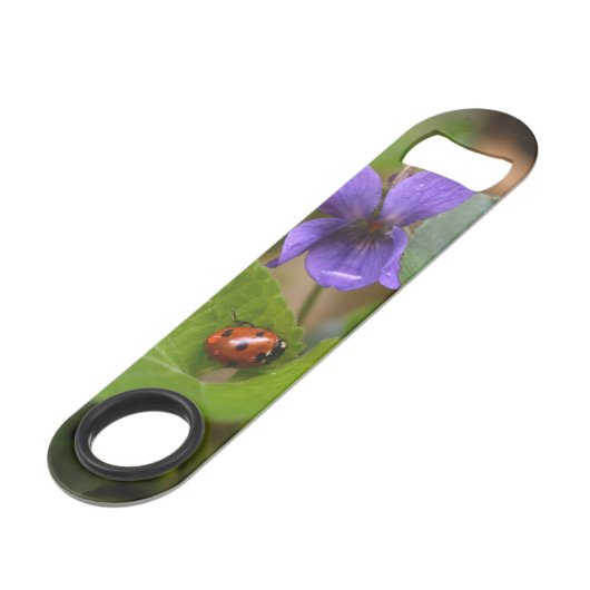 Ladybug sur les fleurs de violet doux (Devant angulaire)