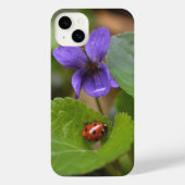 Ladybug sur les fleurs de violet doux (Verso)