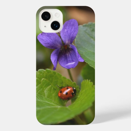 Ladybug sur les fleurs de violet doux (Verso)