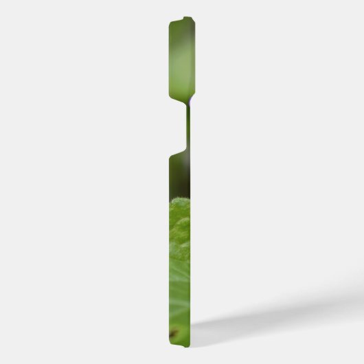 Ladybug sur les fleurs de violet doux (Côté droit)