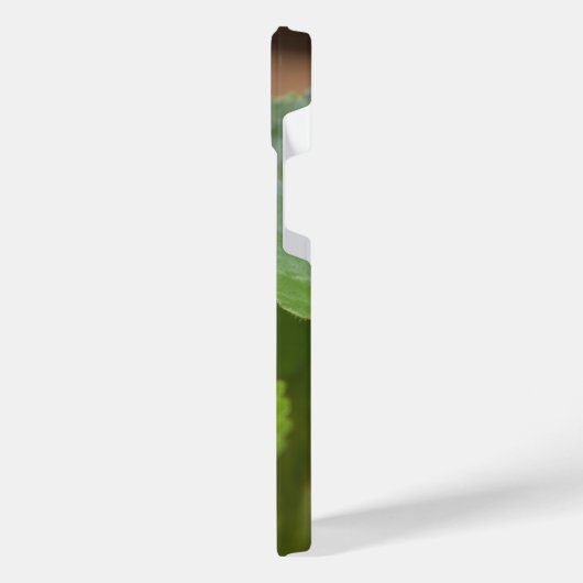 Ladybug sur les fleurs de violet doux (Côté gauche)