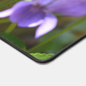 Ladybug sur les fleurs de violet doux (Coin)