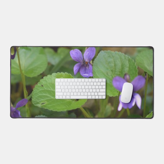 Ladybug sur les fleurs de violet doux (Clavier et souris)