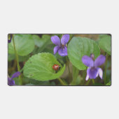 Ladybug sur les fleurs de violet doux (Recto)