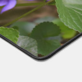 Ladybug sur les fleurs de violet doux (Coin)