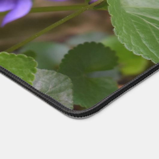 Ladybug sur les fleurs de violet doux (Coin)