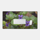 Ladybug sur les fleurs de violet doux (Clavier et souris)
