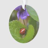 Ladybug sur les fleurs de violet doux (devant)