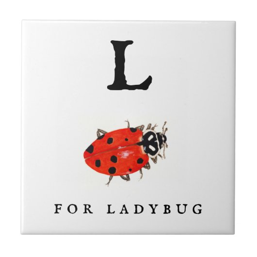 Ladybug Tegeltje (Voorkant)