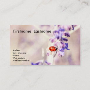 Ladybug-Visitekaartje Visitekaartje
