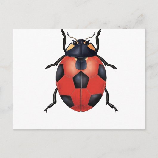 Ladybug voetbal briefkaart (Voorkant)