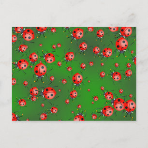Ladybug Wallpaper Briefkaart