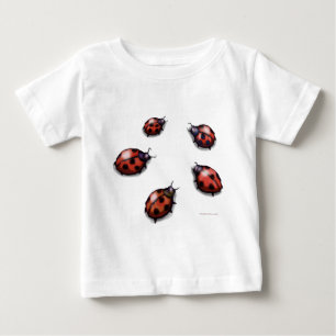 Ladybugs