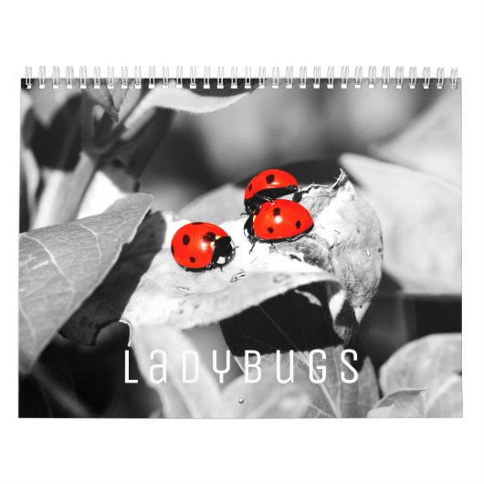 Ladybugs [1] Calendrier mural (Protection)