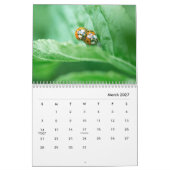 Ladybugs [1] Calendrier mural (Mar 2027)