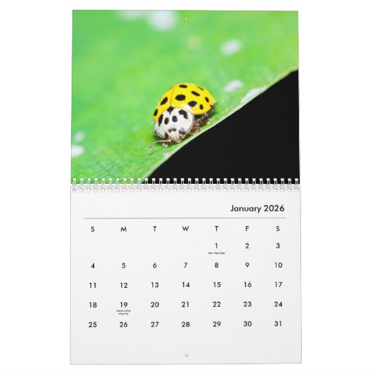 Ladybugs [1] Calendrier mural (Jan 2026)
