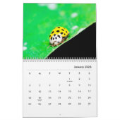Ladybugs [1] Wall Calendar Kalender (Jan 2026)