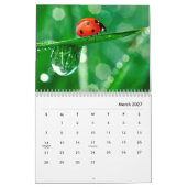 Ladybugs [2] Calendrier mural (Mar 2027)